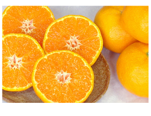 大田市場に入荷するカラマンダリン（柑橘）