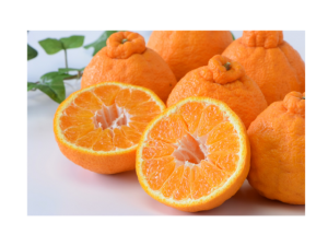 大田市場に入荷したデコポン（柑橘）3